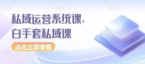 私域运营系统课，白手套私域课-赚金金-技能学习分享