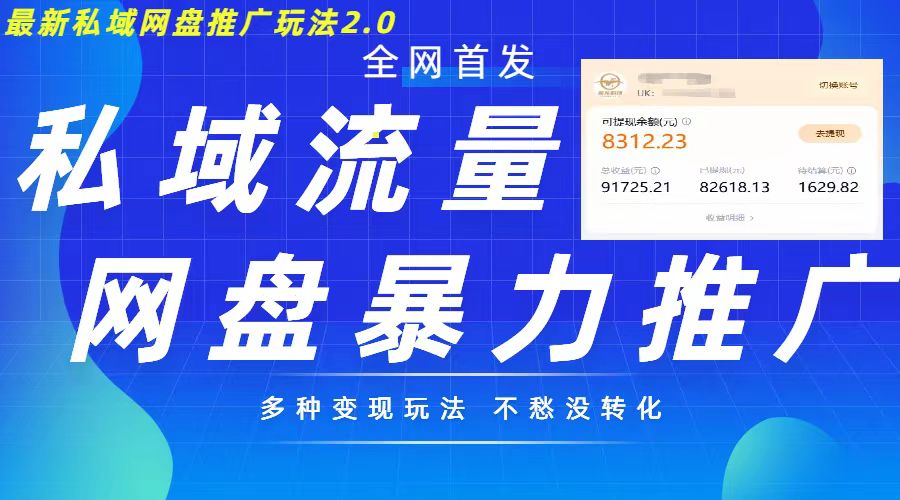 最新暴力私域网盘拉新玩法2.0，多种变现模式，并打造私域回流，轻松日入500+【揭秘】-赚金金-技能学习分享