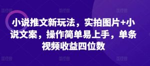 小说推文新玩法,实拍图片+小说文案,操作简单易上手,单条视频收益四位数-赚金金-技能学习分享