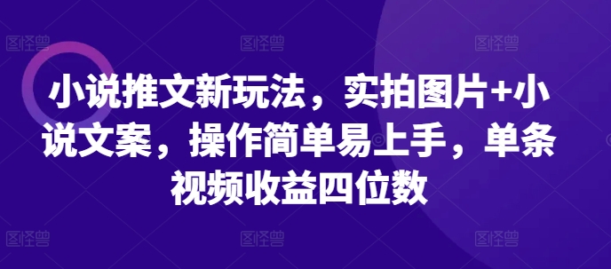小说推文新玩法，实拍图片+小说文案，操作简单易上手，单条视频收益四位数-赚金金-技能学习分享