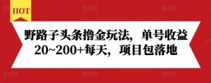 野路子头条撸金玩法,单号收益20~200+每天,项目包落地-赚金金-技能学习分享