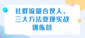 社群流量合伙人,三大方法变现实战训练营-赚金金-技能学习分享