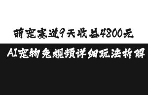 萌宠赛道9天收益4800元,AI宠物免视频详细玩法拆解-赚金金-技能学习分享