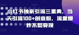 小红书独家引流三重奏,当天引流100+创业粉,流量爆炸不愁变现【揭秘】-赚金金-技能学习分享