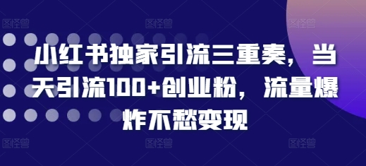 小红书独家引流三重奏，当天引流100+创业粉，流量爆炸不愁变现【揭秘】-赚金金-技能学习分享