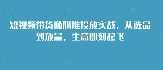 短视频带货随心推投放实战，从选品到放量，生意即刻起飞-赚金金-技能学习分享