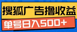 搜狐视频广告全自动撸收益,单号日入5张【揭秘】-赚金金-技能学习分享