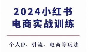 2024小红书电商3.0实战训练,包含个人IP、引流、电商等玩法-赚金金-技能学习分享