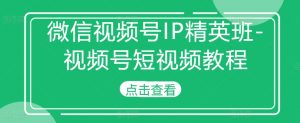 微信视频号IP精英班-视频号短视频教程-赚金金-技能学习分享
