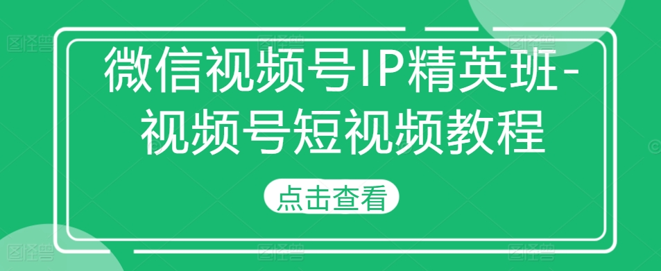 微信视频号IP精英班-视频号短视频教程-赚金金-技能学习分享