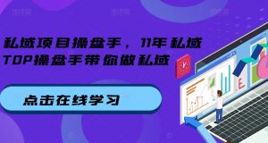 私域项目操盘手,11年私域TOP操盘手带你做私域-赚金金-技能学习分享