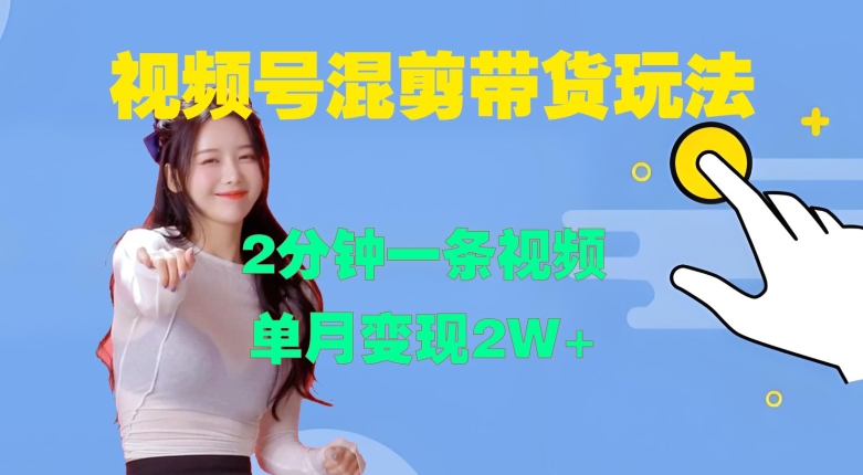 视频号混剪玩法，2分钟一条视频，单月变现2W+【揭秘】-赚金金-技能学习分享