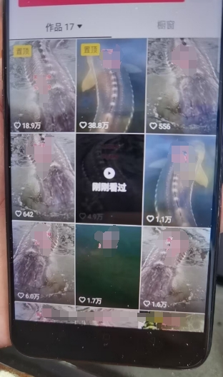 外面卖399的国学佛像原创暴力起号技术，快速起号，7天可达到一个万粉号-赚金金-技能学习分享