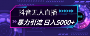 抖音快手视频号全平台通用无人直播引流法,利用图片模板和语音话术,暴力日引流100+创业粉【揭秘】-赚金金-技能学习分享