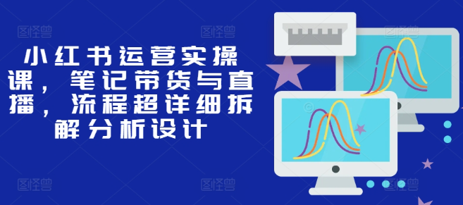 小红书运营实操课，笔记带货与直播，流程超详细拆解分析设计-赚金金-技能学习分享