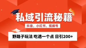 私域流量的精准化获客方法 野路子玩法 吃透一个点 日引200+ 【揭秘】-赚金金-技能学习分享