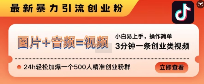 抖音最新暴力引流创业粉，3分钟一条创业类视频，24h轻松加爆一个500人精准创业粉群【揭秘】-赚金金-技能学习分享