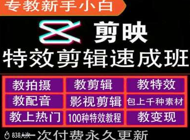 剪映特效教程和运营变现教程，特效剪辑速成班，专教新手小白-赚金金-技能学习分享