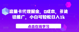 流量卡代理掘金，0成本，多途径推广，小白可轻松日入1k-赚金金-技能学习分享