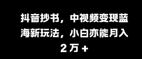 抖音抄书，中视频变现蓝海新玩法，小白亦能月入 过W【揭秘】-赚金金-技能学习分享
