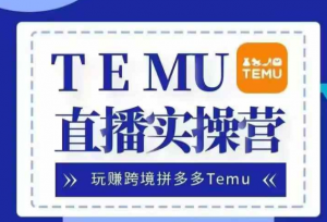 Temu直播实战营,玩赚跨境拼多多Temu,国内电商卷就出海赚美金-赚金金-技能学习分享