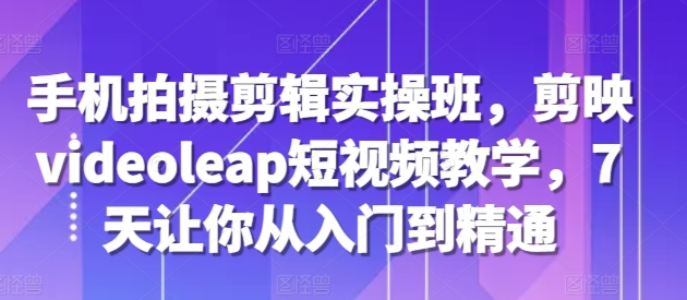 手机拍摄剪辑实操班，剪映videoleap短视频教学，7天让你从入门到精通-赚金金-技能学习分享