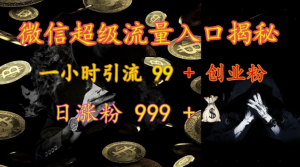 微信超级流量入口揭秘：一小时引流 99 + 创业粉，日涨粉 999 +-赚金金-技能学习分享