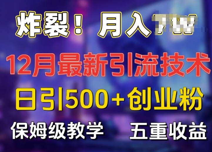 炸裂!揭秘12月最新日引流500+精准创业粉，多重收益保姆级教学-赚金金-技能学习分享
