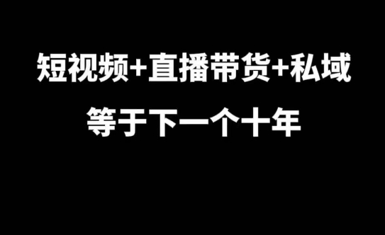 短视频+直播带货+私域等于下一个十年,大佬7年实战经验总结-赚金金-技能学习分享