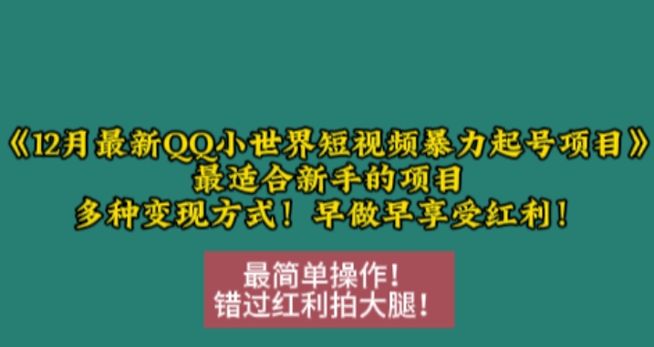 12月最新QQ小世界短视频暴力起号项目，最适合新手的项目，多种变现方式-赚金金-技能学习分享