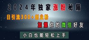 2024年独家涨粉秘籍,日引流300+创业粉,加爆你的微信好友,小白也能轻松上手-赚金金-技能学习分享