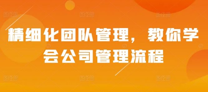 精细化团队管理，教你学会公司管理流程-赚金金-技能学习分享