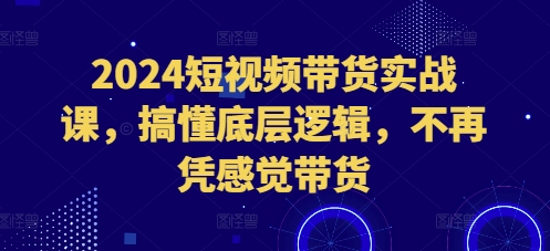 2024短视频带货实战课，搞懂底层逻辑，不再凭感觉带货-赚金金-技能学习分享