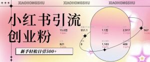 小红书私域引流无脑操作法:AI生成内容,粉丝自动转化,新手轻松日引500+创业粉-赚金金-技能学习分享