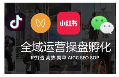 全域运营操盘(抖音+私域+小红书)，IP打造高效简单-赚金金-技能学习分享