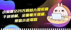 小说推文25万粉丝大佬实操干货讲解，全面毫无保留，帮你少走弯路-赚金金-技能学习分享