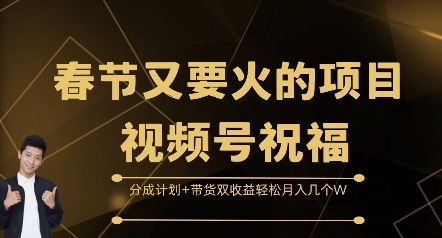 春节又要火的项目视频号祝福，分成计划+带货双收益，轻松月入几个W【揭秘】-赚金金-技能学习分享