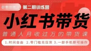 小Red书带货42天训练营 2.0版，宝妈+自由职+上班族+大学生，提高副业收入的大红利项目-赚金金-技能学习分享
