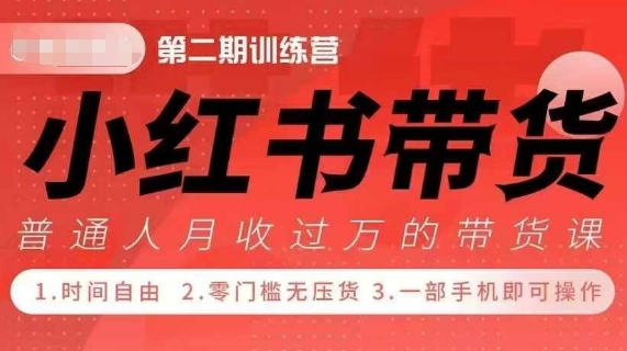 小Red书带货42天训练营 2.0版，宝妈+自由职+上班族+大学生，提高副业收入的大红利项目-赚金金-技能学习分享