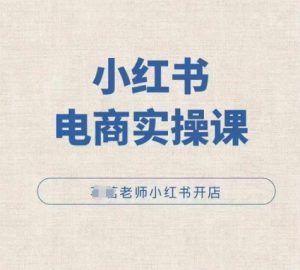小红薯电商实操课,小红书开店实操必学课-赚金金-技能学习分享
