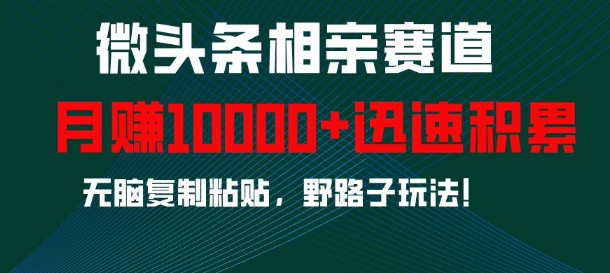微头条相亲赛道,迅速积累,无脑复制粘贴,野路子玩法,月入1w-赚金金-技能学习分享