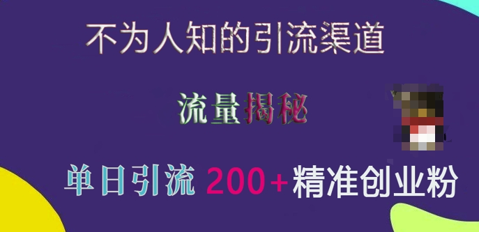 不为人知的引流渠道，流量揭秘，实测单日引流200+精准创业粉【揭秘】-赚金金-技能学习分享