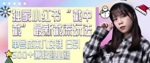 最新小红书截流玩法 独家截中截 单号成本几块钱 日引500+CY粉JZ粉-赚金金-技能学习分享