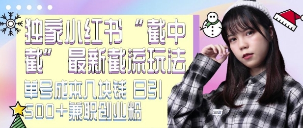 最新小红书截流玩法 独家截中截 单号成本几块钱 日引500+CY粉JZ粉-赚金金-技能学习分享