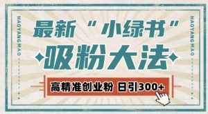最新自动化“吸粉术”,小绿书激活私域流量,每日轻松吸引300+高质精准粉!-赚金金-技能学习分享