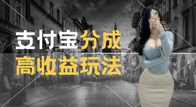 支付宝分成计划新玩法，利用交通事故视频，赚收益，轻松月入过W，操作简单【揭秘】-赚金金-技能学习分享
