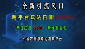 全新引流风口，跨平台玩法日入上k，单日狂揽200+精准创业粉，一个被严重忽略的视频平台-赚金金-技能学习分享