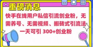 快手最新引流创业粉方法，无需养号、无需视频、搬砖式引流法【揭秘】-赚金金-技能学习分享