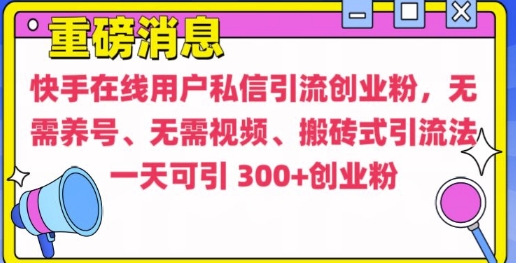 快手最新引流创业粉方法，无需养号、无需视频、搬砖式引流法【揭秘】-赚金金-技能学习分享