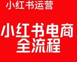 红薯电商实操课，小红书电商全流程-赚金金-技能学习分享